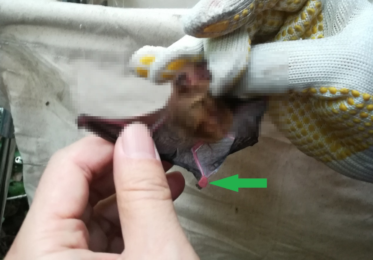 电子游戏app下载安装