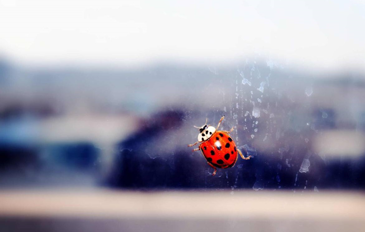 电子游戏app下载安装