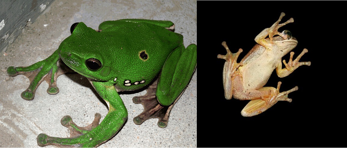 电子游戏app下载安装