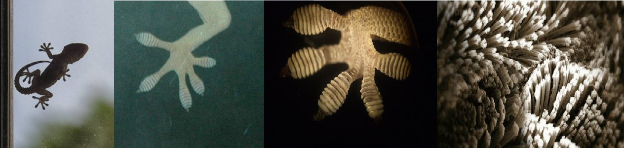 电子游戏app下载安装