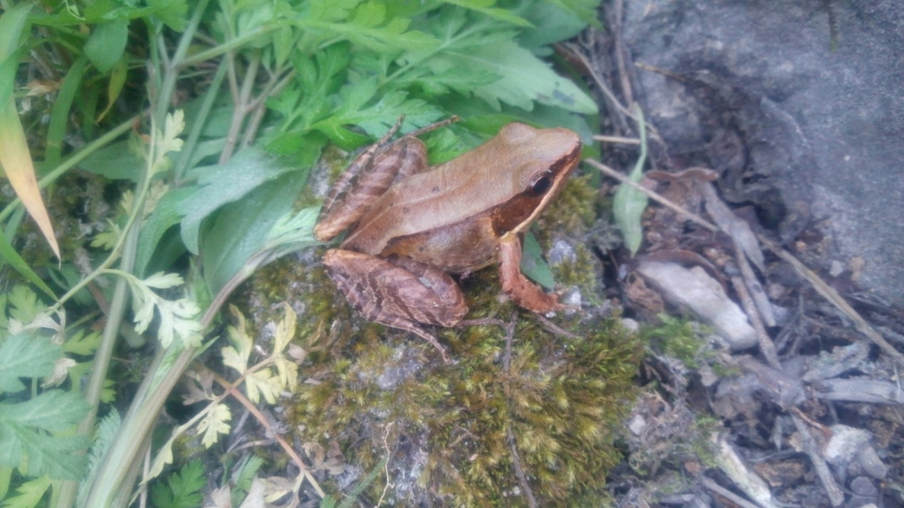 电子游戏app下载安装