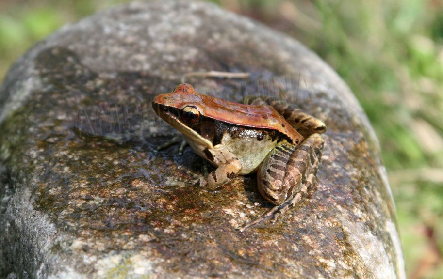 电子游戏app下载安装