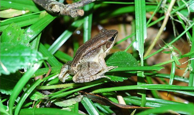 电子游戏app下载安装