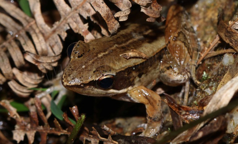 电子游戏app下载安装