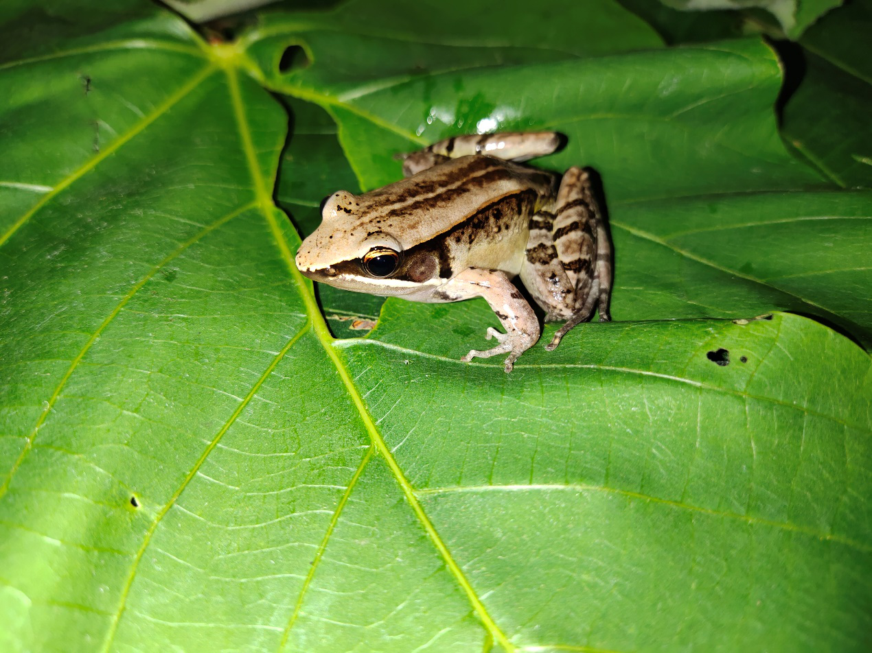 电子游戏app下载安装