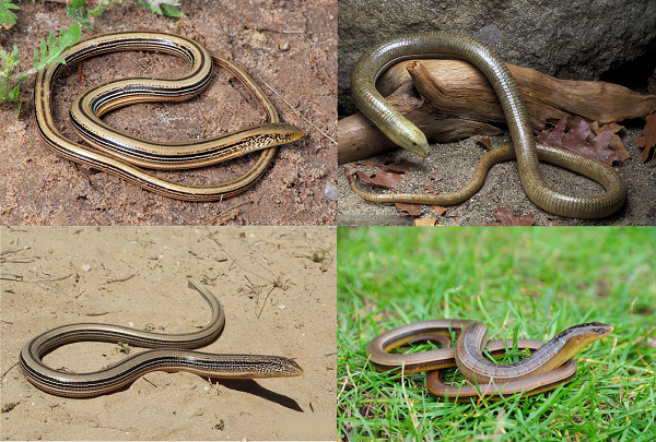 电子游戏app下载安装