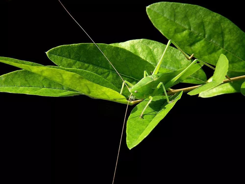 电子游戏app下载安装