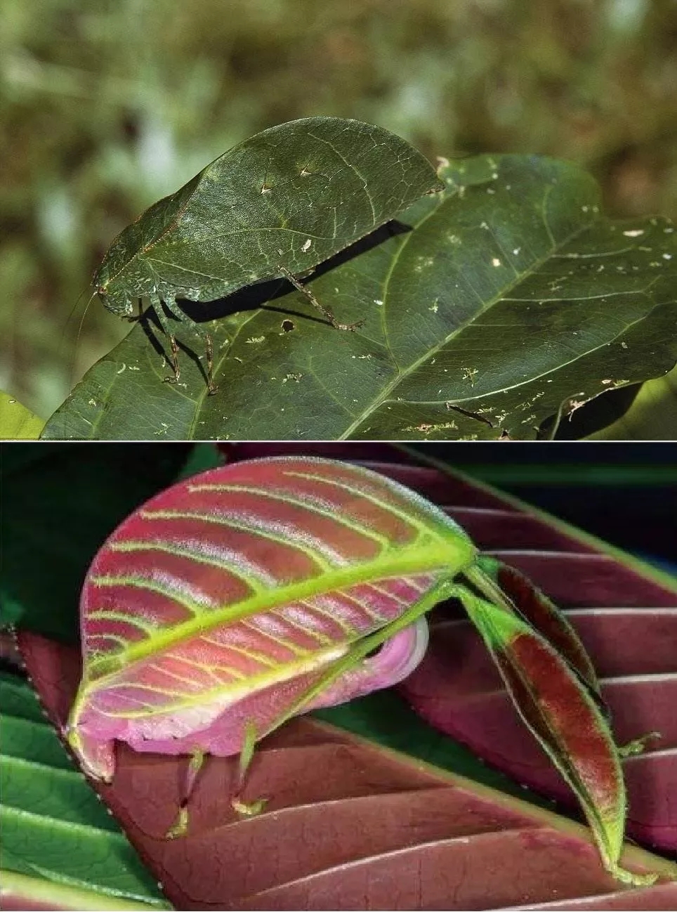 电子游戏app下载安装