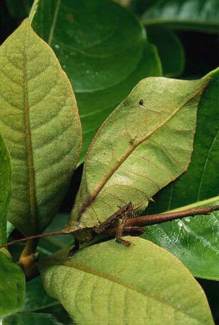 电子游戏app下载安装