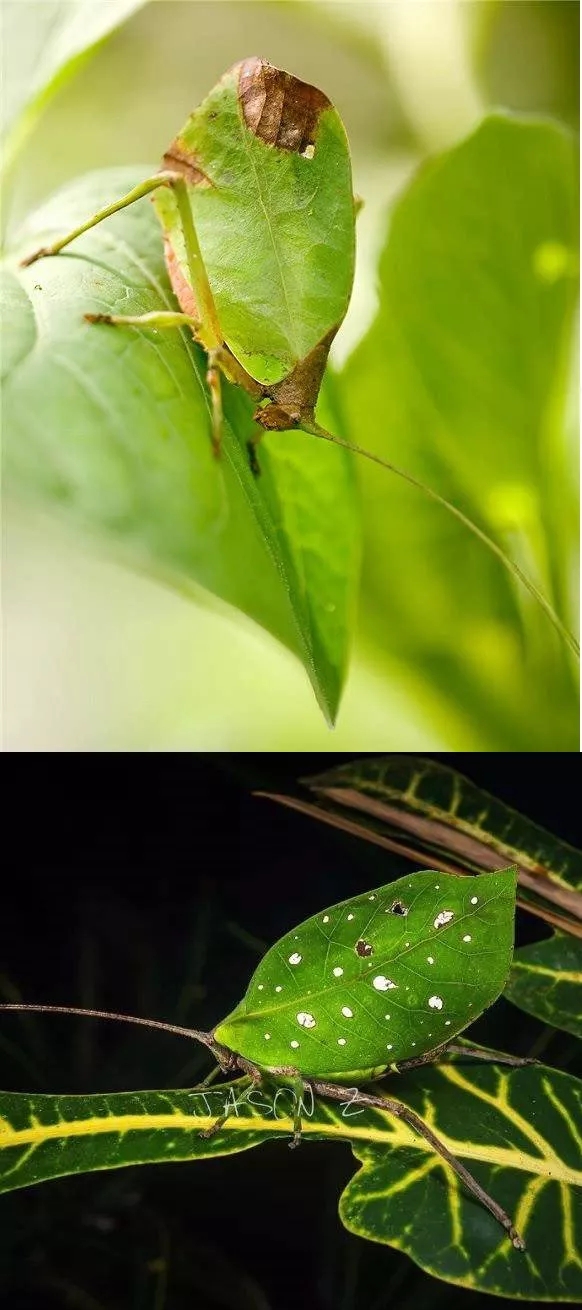 电子游戏app下载安装