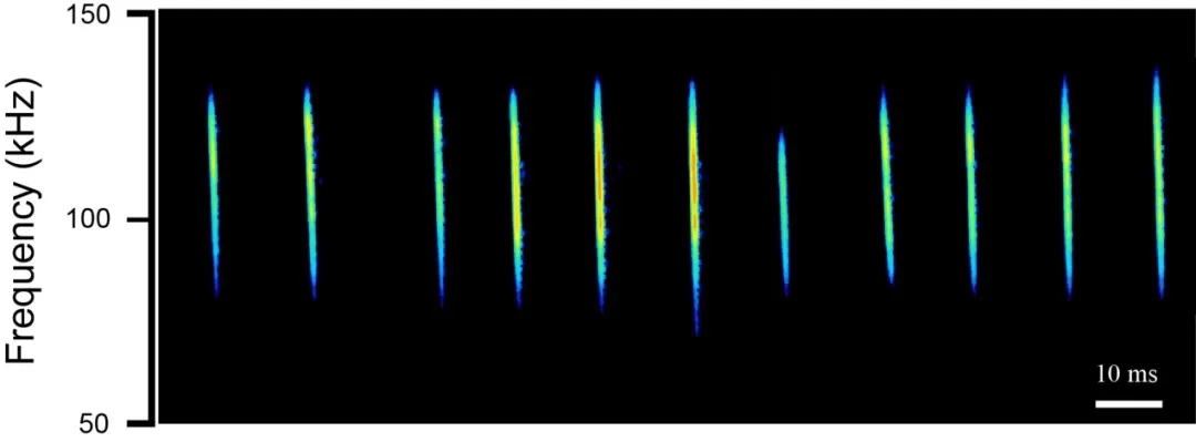 电子游戏app下载安装
