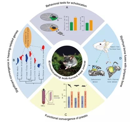 电子游戏app下载安装