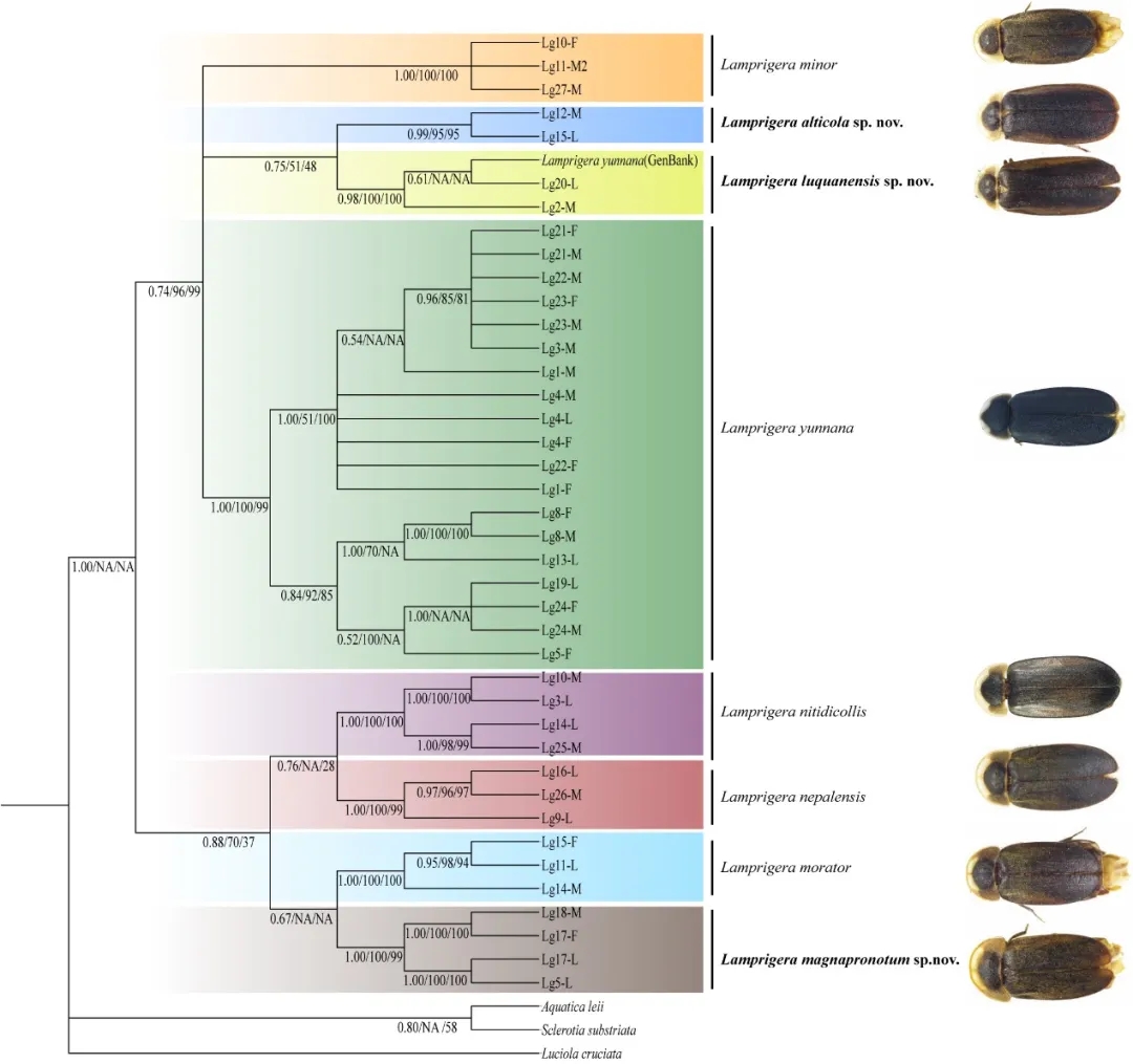 电子游戏app下载安装