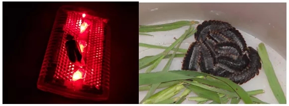 电子游戏app下载安装