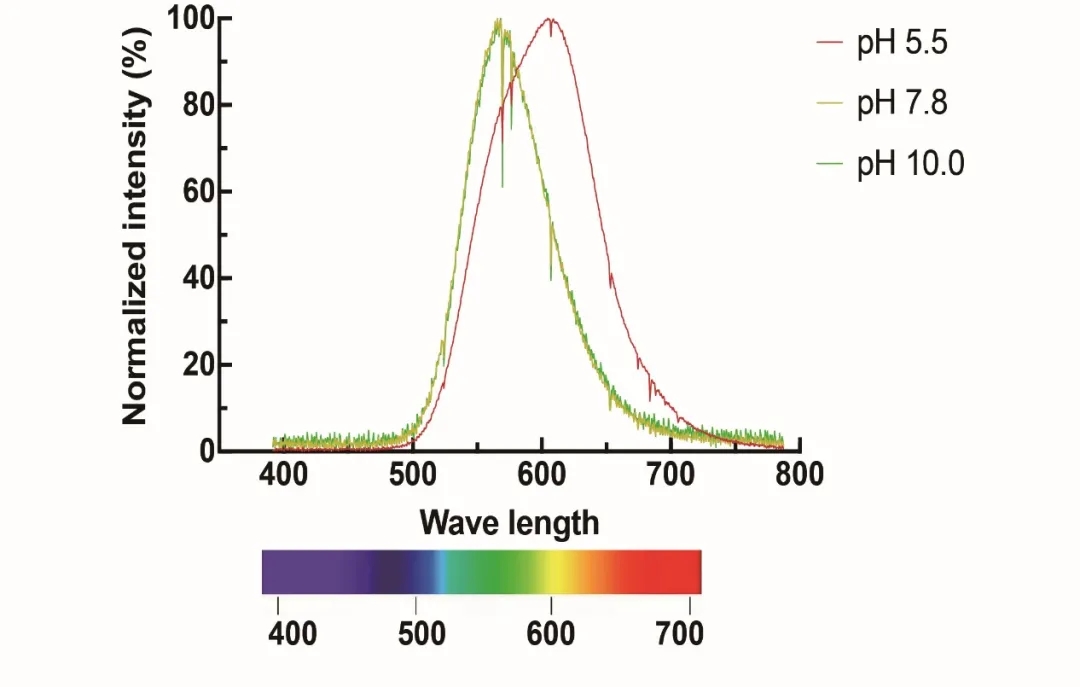 电子游戏app下载安装