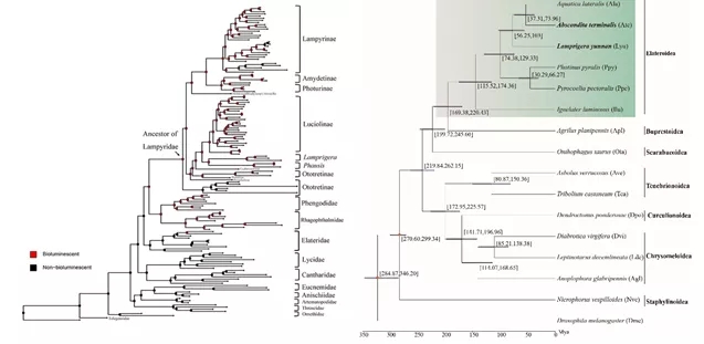 电子游戏app下载安装