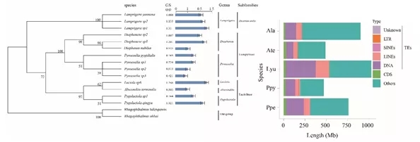 电子游戏app下载安装