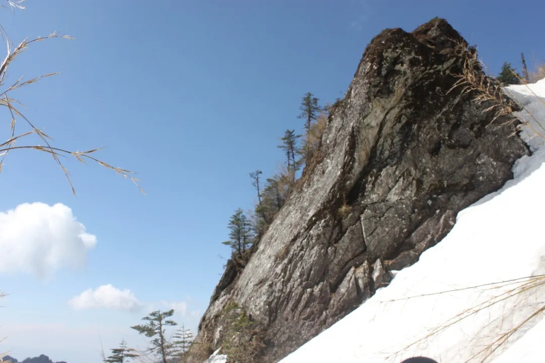 电子游戏app下载安装