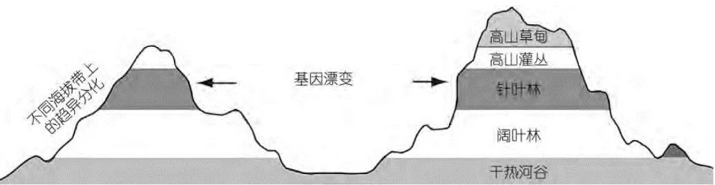 电子游戏app下载安装