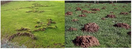 电子游戏app下载安装