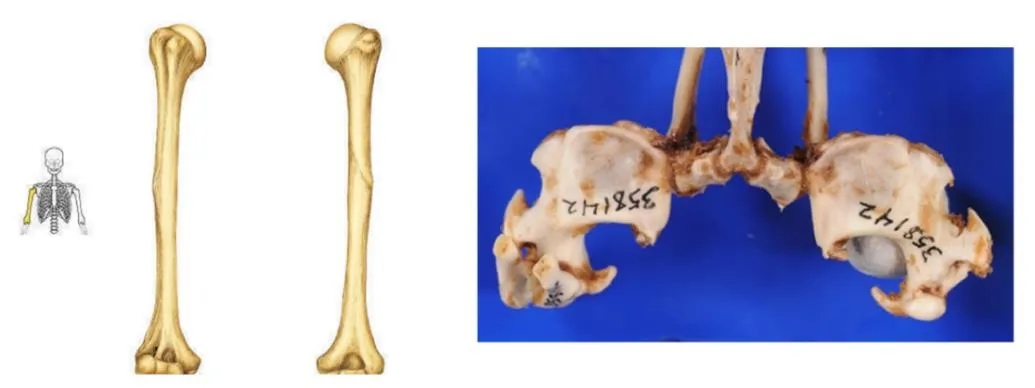 电子游戏app下载安装