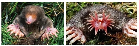 电子游戏app下载安装