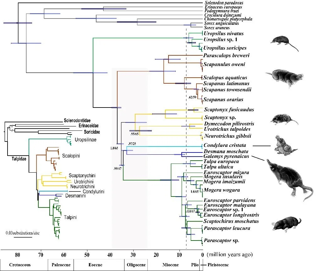 电子游戏app下载安装