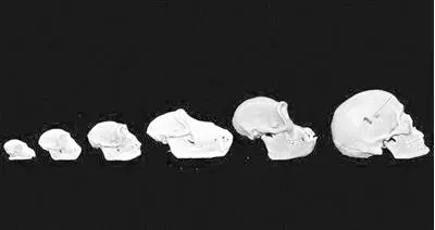 电子游戏app下载安装