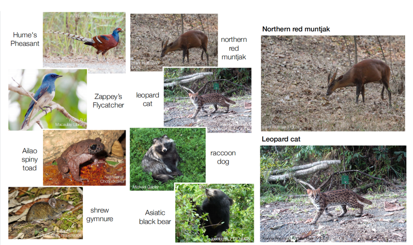 电子游戏app下载安装