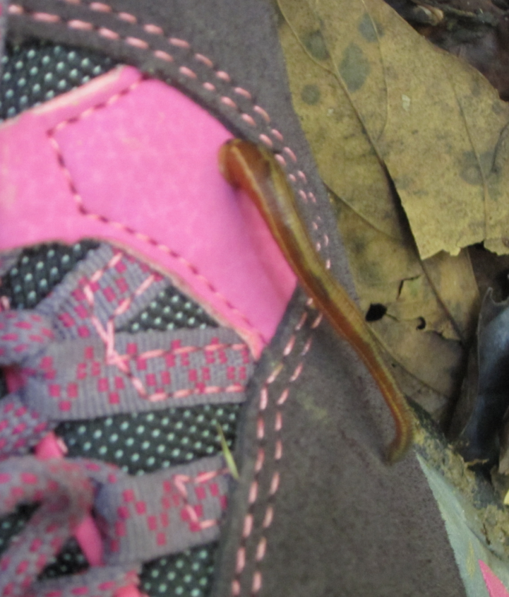 电子游戏app下载安装