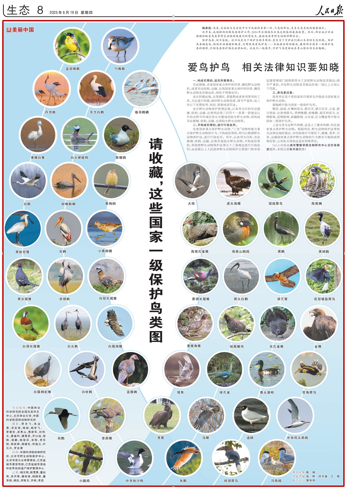 电子游戏app下载安装