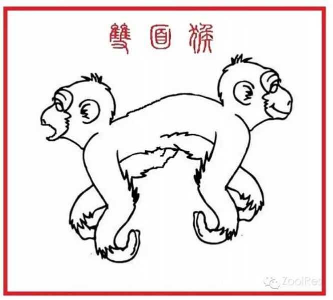 电子游戏app下载安装