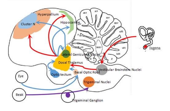 电子游戏app下载安装