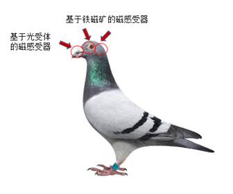 电子游戏app下载安装