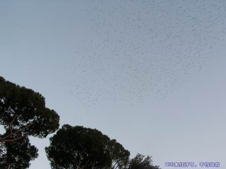 电子游戏app下载安装