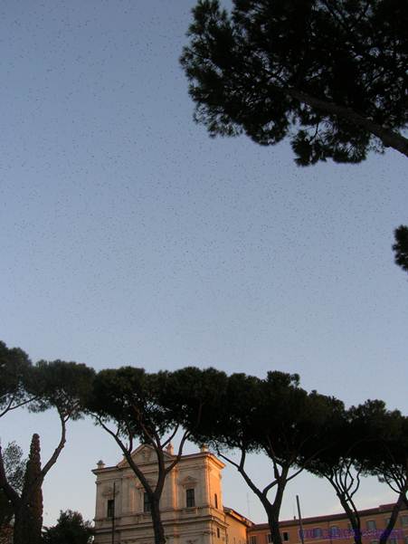 电子游戏app下载安装