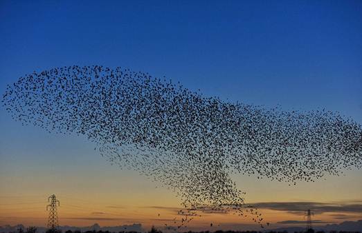 电子游戏app下载安装