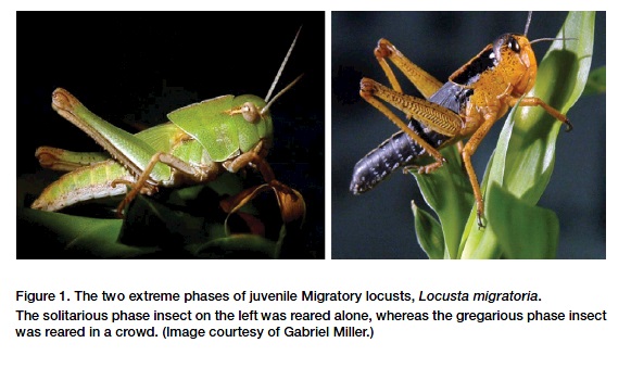 电子游戏app下载安装