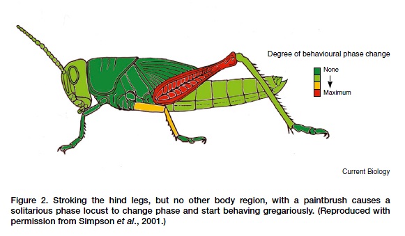 电子游戏app下载安装