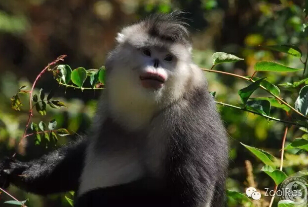 电子游戏app下载安装