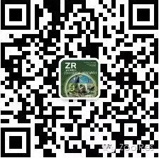 电子游戏app下载安装