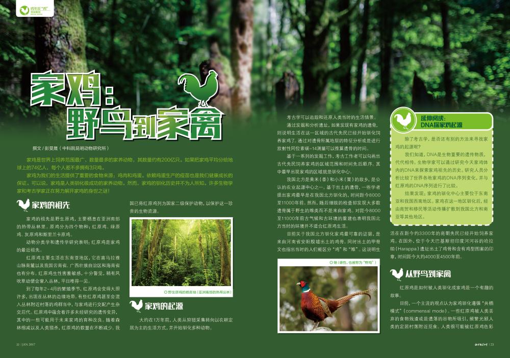 电子游戏app下载安装