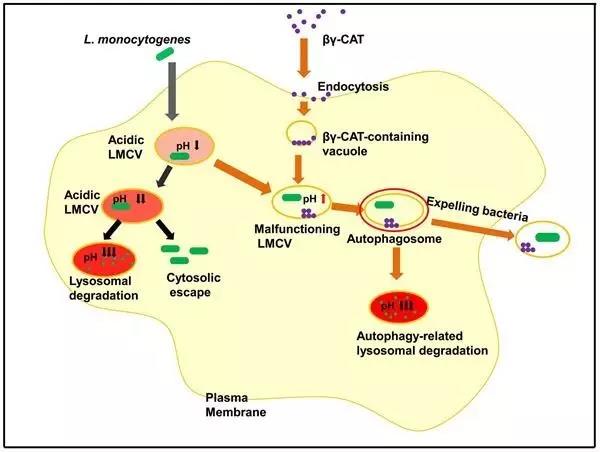 电子游戏app下载安装