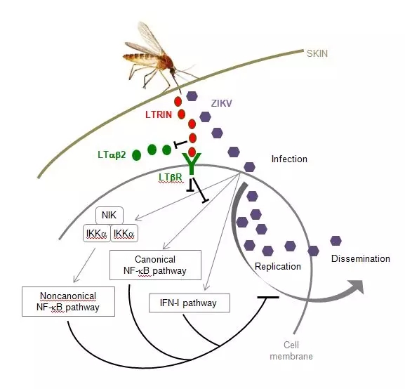 电子游戏app下载安装