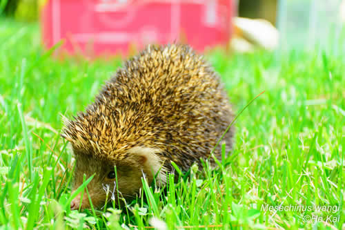 电子游戏app下载安装