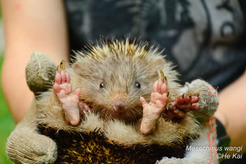 电子游戏app下载安装