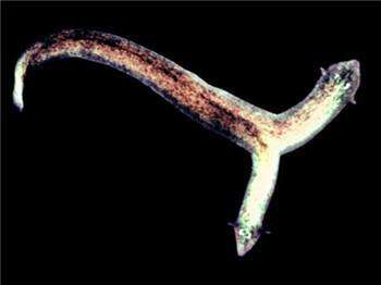 电子游戏app下载安装