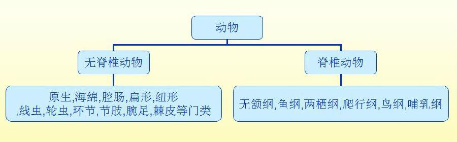 电子游戏app下载安装