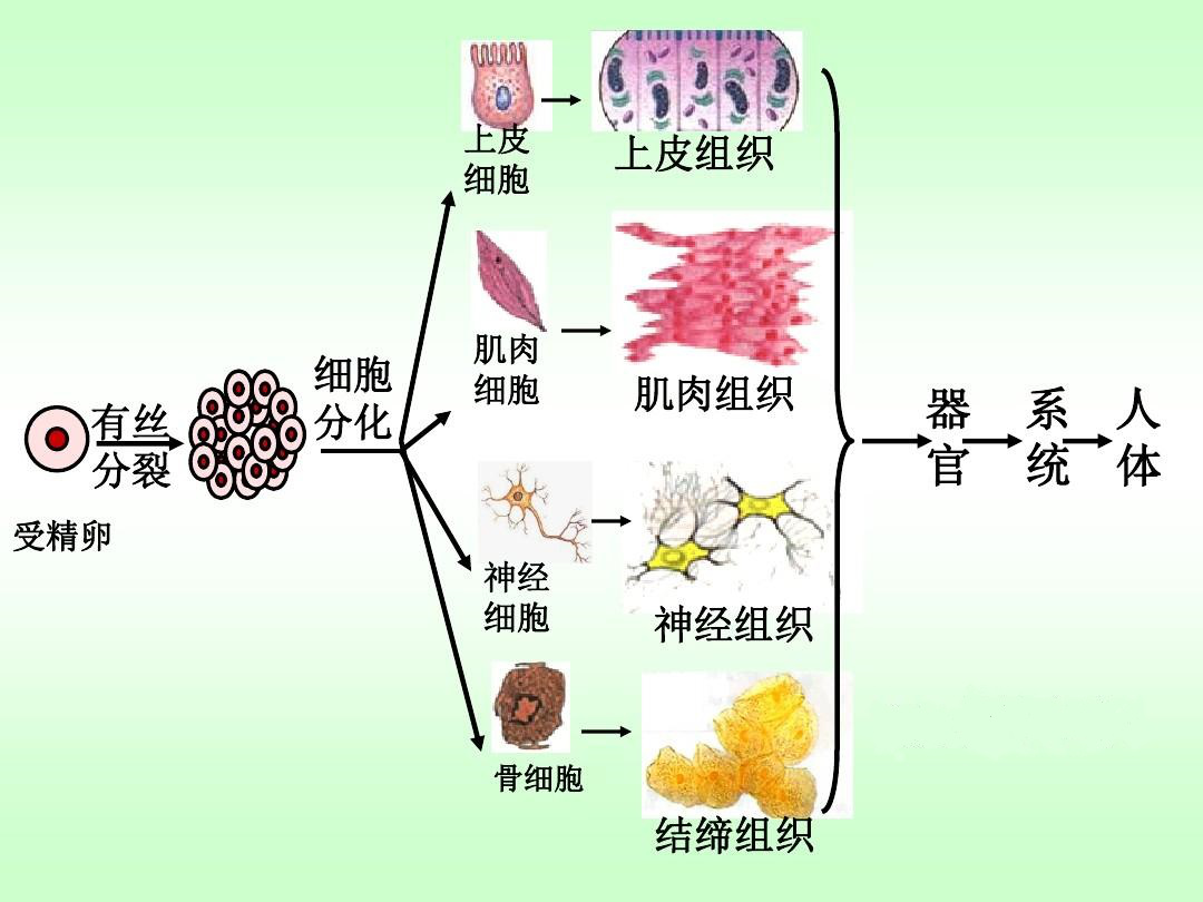 电子游戏app下载安装