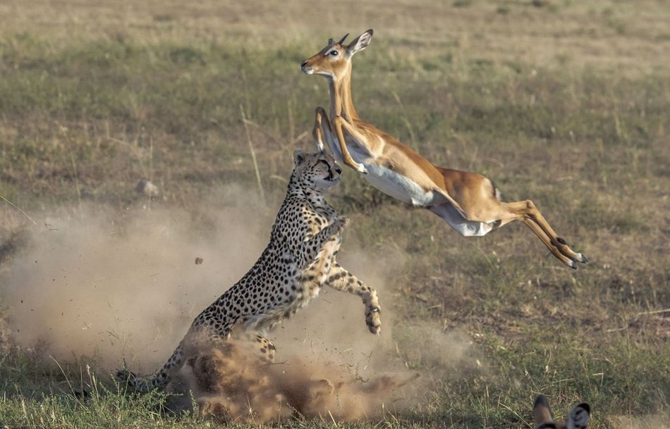 电子游戏app下载安装